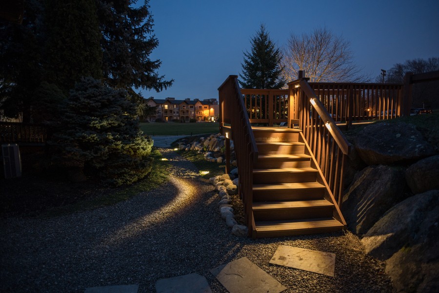 draw-out-the-beauty-from-the-darkness-with-automated-landscape-lighting