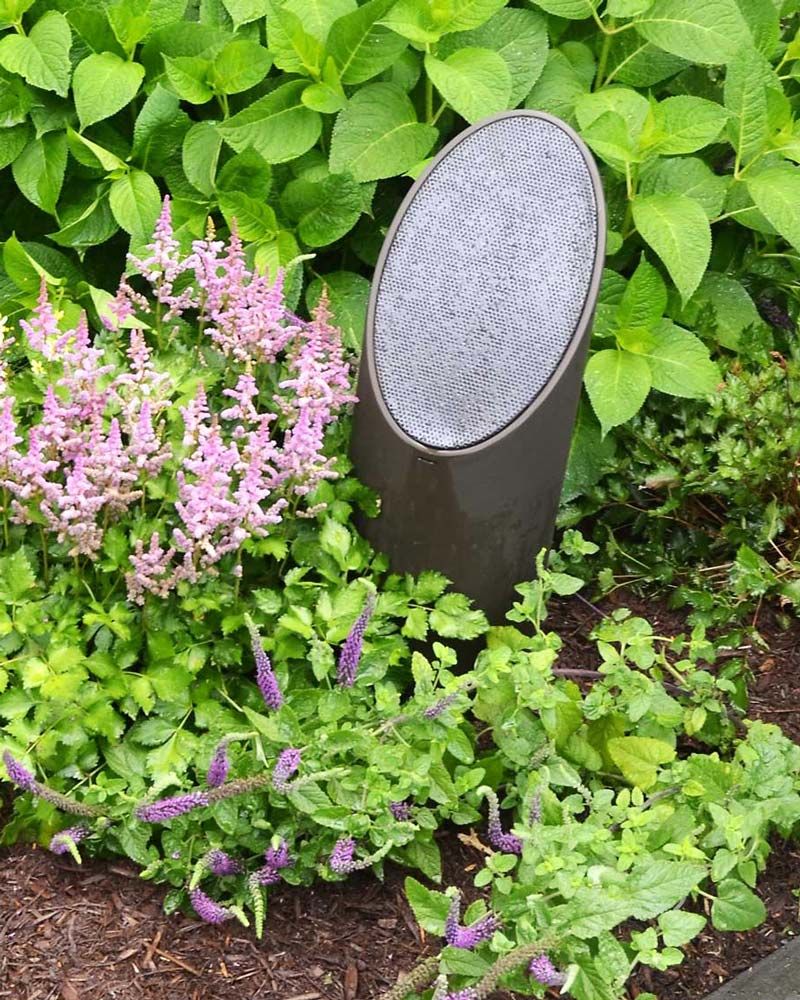 coastal source speaker in rain